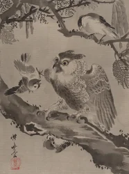 Owl Mocked by Small Birds