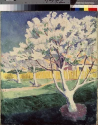 Summer Landscape