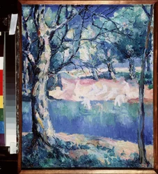 A River in Forest