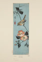 Sparrow and Camellia