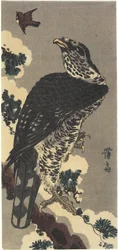 Eagle and Sparrow