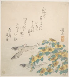 Fishes Swimming with Yellow Flowers