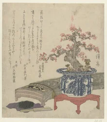 Koto with Plum Blossom in Pot
