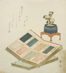 Sample Books of Brocade Designs