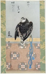 Falcon - silk painting by Itaya Keishiu