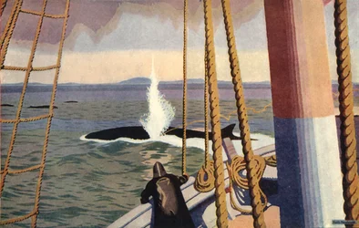Whaling in the Antarctic