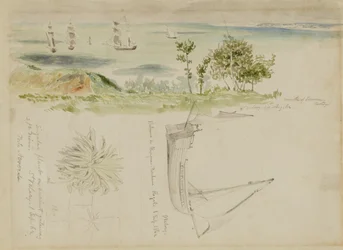 Coastal Scene