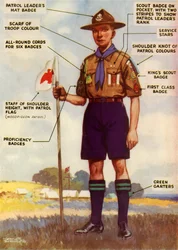 Boy Scout Uniform and Badges