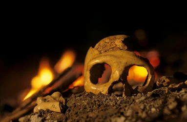 Neandertals 130,000 year old, skull of a woman, Krapina 3, Krapina Cave, Balkans