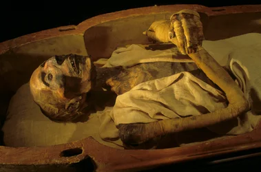Mummy of Ramses II