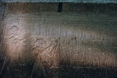 Oldest known King