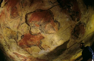 The gallery of bison, Altamira Cave, Spain, 2000 (photo)