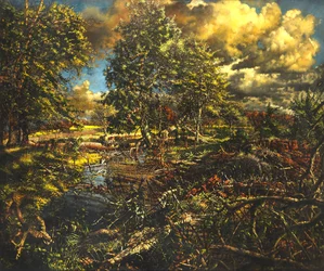 Nailbourne Spring Stream, Bourne Park