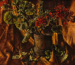 Still Life with Begonias