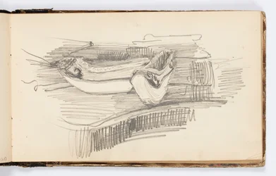 Sketchbook Page