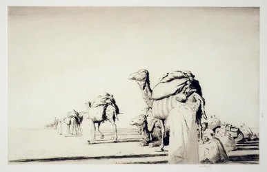 Desert Freight