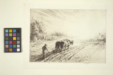 Early Plowing (Spring)