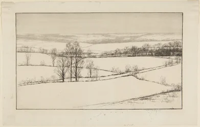 Snow Fields