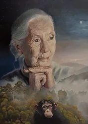 We’re All Connected (The Wisdom Of Jane Goodall)