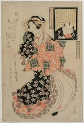 Eyes for Looking at a Courtesan