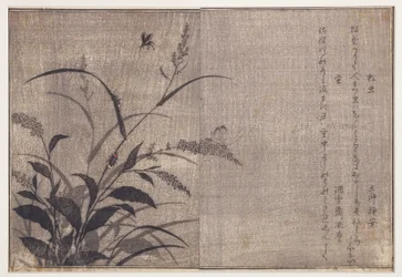 Cricket and Fireflies, 1788