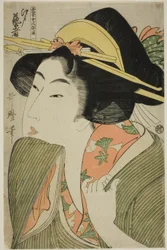 Edo Geisha, from the series "A Guide to Women