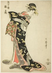 Hinazuru of the Keizetsuro