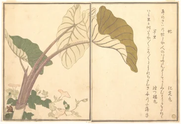Horsefly (abu); Green Caterpillar, imomushi, from the Picture Book of Crawling Creatures (Ehon mushi erami)