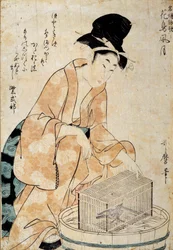 Japanese art: woman sitting in front of a bird cage. Drawing by Outamaro (Utamaro) Kitagawa (1753-1806) 18th century. Rennes, Musee des Beaux Arts