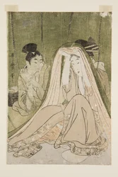 Mosquito Net