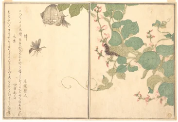 Paper Wasp (Hachi); Hairy Caterpillar (Kemushi), from the Picture Book of Crawling Creatures (Ehon mushi erami)