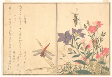 Red Dragonfly (Akatonbo); Locust (Inago), from the Picture Book of Crawling Creatures (Ehon mushi erami)