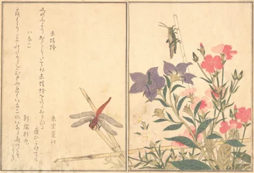 Red Dragonfly Akatonbo, Locust Inago..., 1788