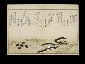Shiohi no tsuto (Gifts from the Ebb Tide), known as the Shell Book, 1789
