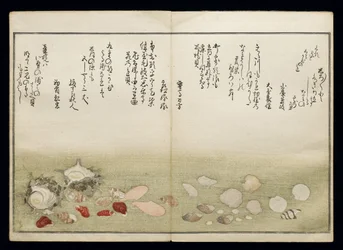Shiohi no tsuto (Gifts from the Ebb Tide), known as the Shell Book, 1789