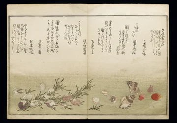 Shiohi no tsuto (Gifts from the Ebb Tide), known as the Shell Book, 1789