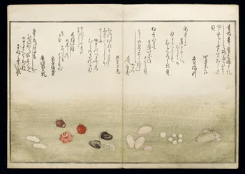 Gifts from the Ebb Tide, known as the Shell Book, 1789