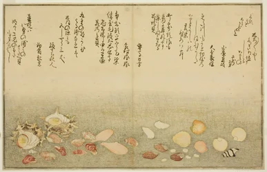 Shiro-gai, Namima-gashiwa, Makura-gai, Iro-gai, Aza-gai, Sadae-gai, from the Illustrated Book 