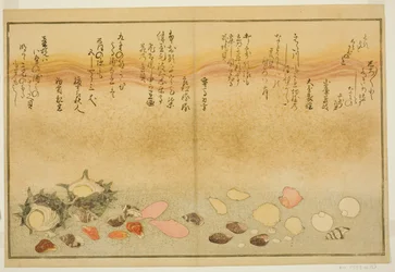 Shiro-gai, namima-gashiwa, makura-gai, iro-gai, aza-gai, sadae-gai, from the illustrated book "Gifts from the Ebb Tide (Shiohi no tsuto)"