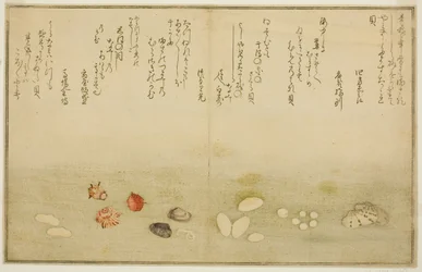 Sudare-gai, hana-gai, sakura-gai, mumeno-gai, nadeshiko-gai, and kinuta-gai, from the illustrated book "Gifts from the Ebb Tide (Shiohi no tsuto)"