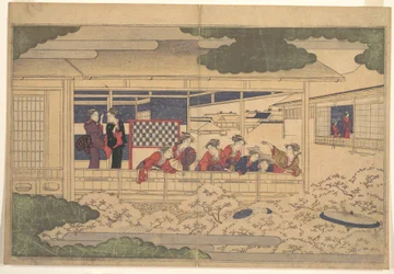 Viewing Cherry Blossoms