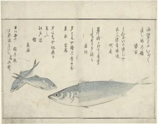 Three Fish