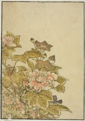 Autumn Flowers: Peonies and Bellflowers, from the book 
