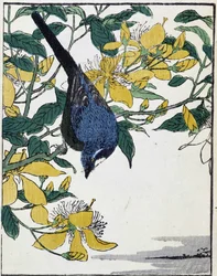 Bird on a Tree. Japanese Drawing by Kitao Kosuisai
