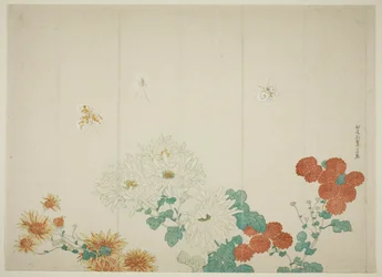 Three Types of Chrysanthemums