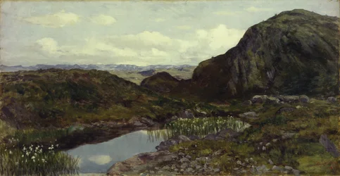 From Jotunheimen