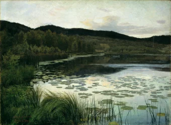 Summer Night