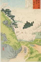 Mount Yoshino, Cherry Blossoms