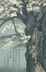Warrior Taira no Tadanori about to Sleep under a Cherry Tree
