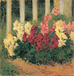 Flowers in Front of a Garden Fence